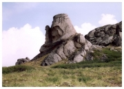 Природа Горного Алтая