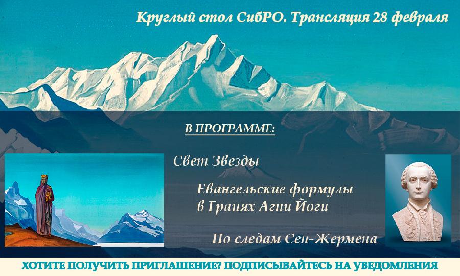 Круглый стол СибРО от 28 февраля 2021 года