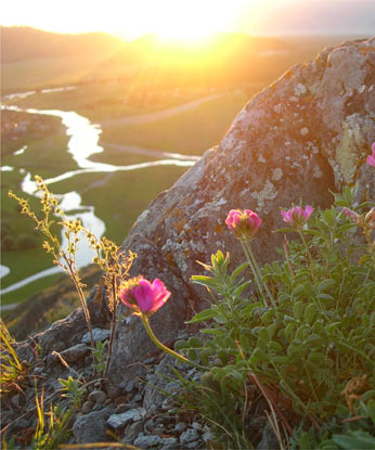 Поверх затмения...