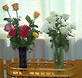 Юбилейный поэтический сборник "Огни трудов" и фоторепортаж с Дня Рериховской поэзии