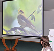 День Матери Земли - 2017 в Музее Н.К.Рериха